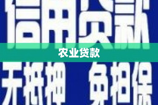 赤水农业贷款