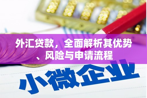 赤水外汇贷款，全面解析其优势、风险与申请流程