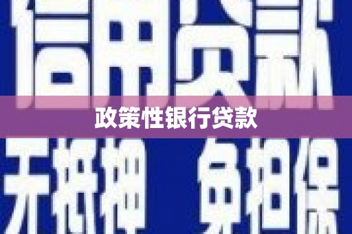 赤水政策性银行贷款