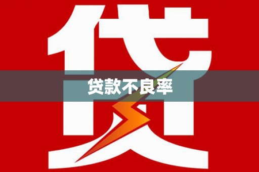 赤水贷款不良率