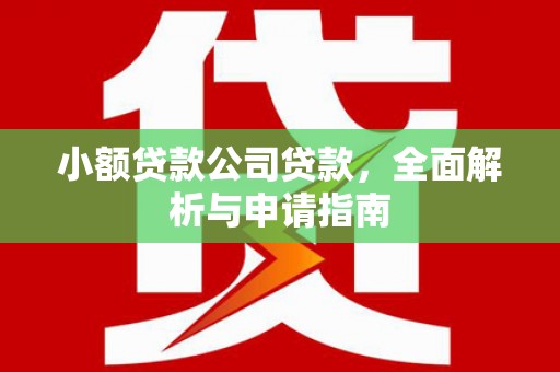 赤水小额贷款公司贷款，全面解析与申请指南