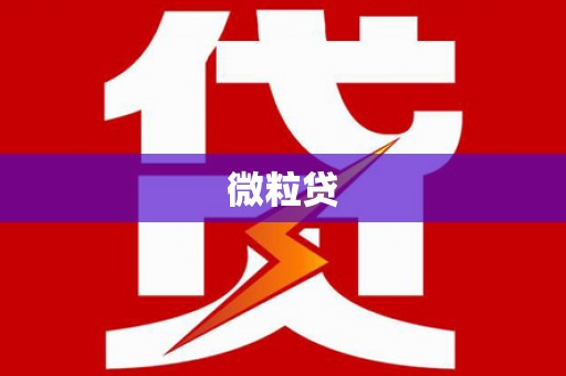 赤水微粒贷