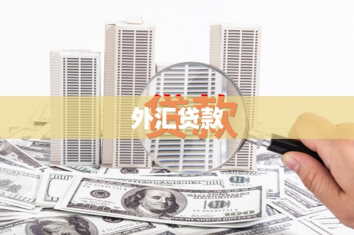 赤水外汇贷款