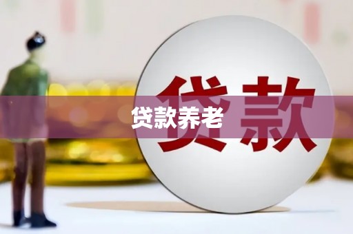 赤水贷款养老