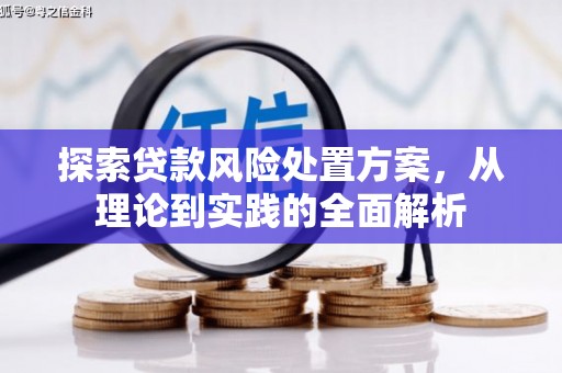 赤水探索贷款风险处置方案，从理论到实践的全面解析