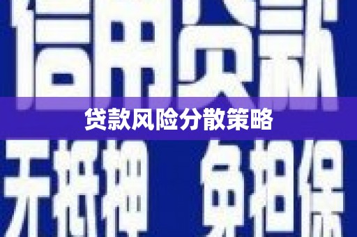 赤水贷款风险分散策略