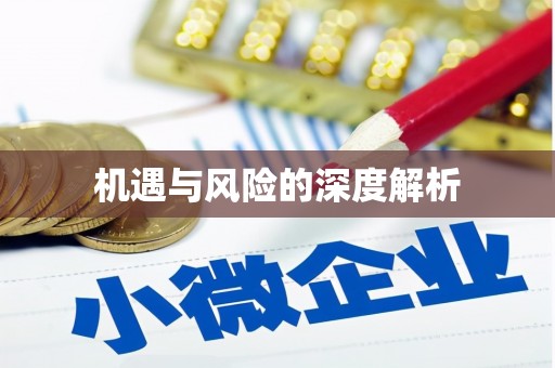 赤水机遇与风险的深度解析
