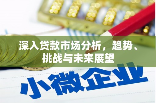 赤水深入贷款市场分析，趋势、挑战与未来展望