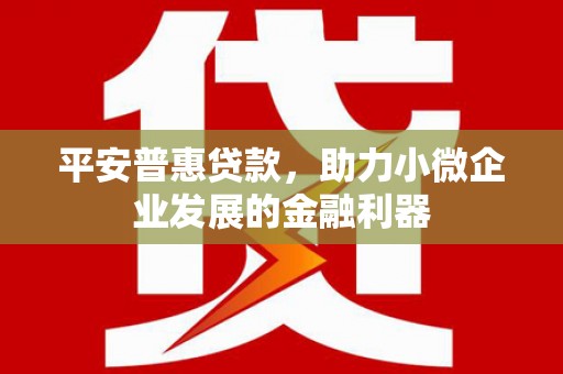 赤水平安普惠贷款，助力小微企业发展的金融利器