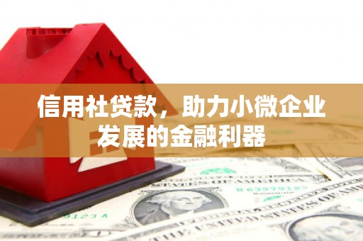 赤水信用社贷款，助力小微企业发展的金融利器