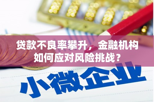 赤水贷款不良率攀升，金融机构如何应对风险挑战？