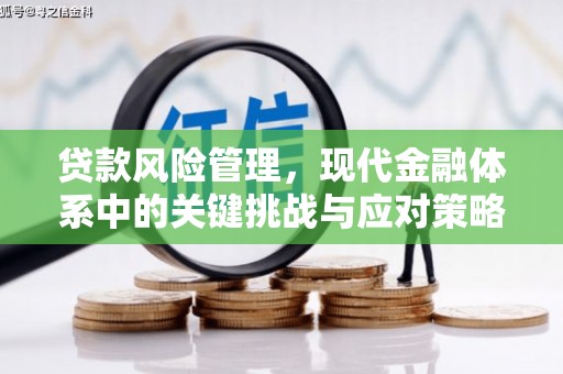 赤水贷款风险管理，现代金融体系中的关键挑战与应对策略