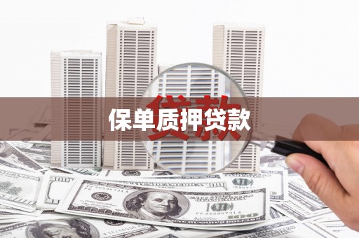 赤水保单质押贷款