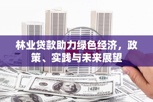 赤水林业贷款助力绿色经济，政策、实践与未来展望