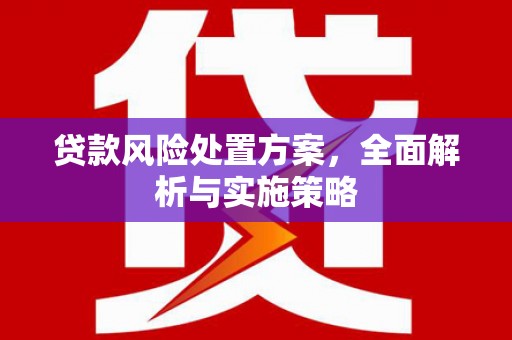 赤水贷款风险处置方案，全面解析与实施策略